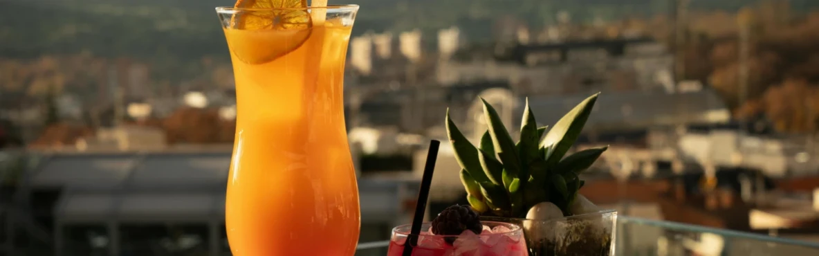Best Rooftop Bars in Vienna with Stunning Views