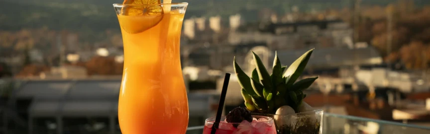 Best Rooftop Bars in Vienna with Stunning Views