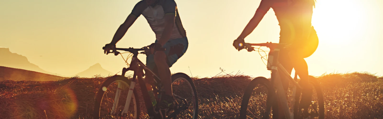 Cycling the Danube Island (Donauinsel) Scenic Routes