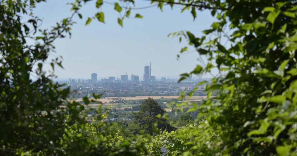 Viyana Yakınlarındaki Bisamberg Patikalarında Yürüyüş