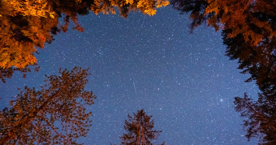 维也纳最佳屋顶酒吧，欣赏壮丽景色